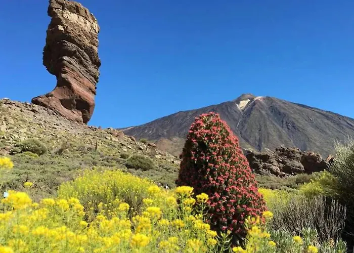 بيت للعطل Live La Caleta Salinas Del Mar *