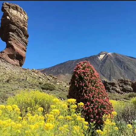 Dom wakacyjny Live La Caleta Salinas Del Mar *